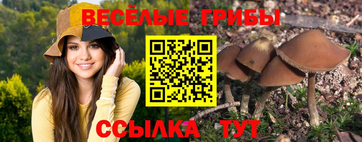 Галлюциногенные грибы Magic Shrooms Татарск