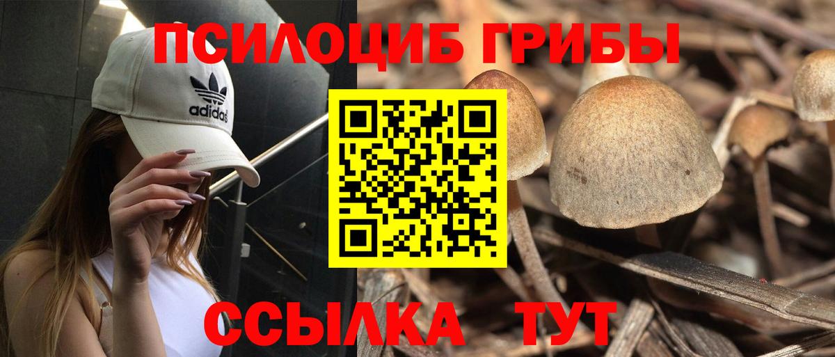 Псилоцибиновые грибы Psilocybine cubensis  Вход с VPN  Татарск 